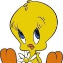 트위티 카카오 검색결과