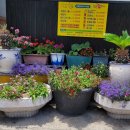 야일한정식당 이미지