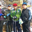 활공농장 이미지