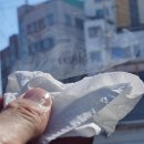 Tint Nail(손톱에 물들이다) | 자동차 유리 글자 지우기, 다이소 아세톤으로 깔끔하게 제거 후기