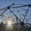 호수공원로(남) | 부산시민공원 늦은 단풍놀이 후기