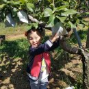 아름1농장 이미지