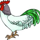 대학식당 이미지