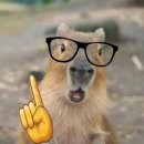 토마토pc방 (서신점) | 여름이다 이디야 수박주스 먹어라