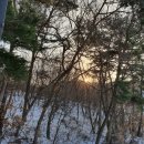 [공지] 충청남도 서천군 서면 공둘 캠핑장