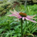 사철슈퍼 이미지