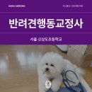 서울신상도초등학교 이미지