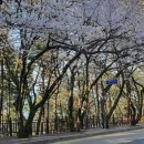 중2동-16 이미지