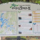 대청호수로 이미지
