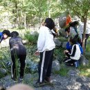 장성초등학교 이미지