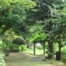 일영나들이 이미지