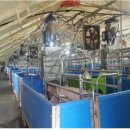 홍성축산 이미지