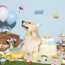 별사진관 - 계양구 계양문화로53번길 12 | 별사진관