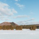 해안로1-L 이미지