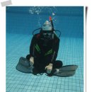 올림픽수영장 이미지