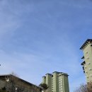 경포파인 | 강릉호텔추천 라카이샌드파인 경포 일출 비수기 아이랑 방문 후기 체크인 꿀팁