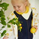 모이몰른 이미지