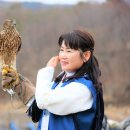 매사냥체험홍보관 이미지