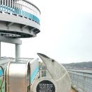 하얀파도 이미지