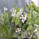 남인천공인중개사사무소 이미지