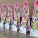 카라(KARA) 박규리 국내외 팬덤의 뮤지컬 '미녀는 괴로워' 박규리 응원쌀드리미화환 - 쌀화환 드리미 이미지