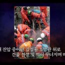 11620-전10-49-1 | 목포 매화도령 운명전쟁49 소원아씨 대결 승자는? 신당 점집 예약·가격·후기 정리