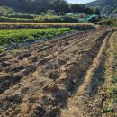 상룡농장 이미지