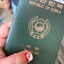 미래고속관광㈜ | 스타라인 노바호 타고 떠난 대마도 여행 후기