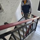 작은쉼터 스텔라 이미지