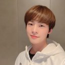 효진전기 Daum카페
