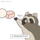 라쿠니