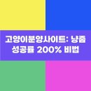 뱅갈냥이 | 고양이분양사이트: 냥줍 성공률 200% 비법
