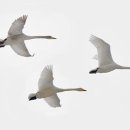 물의합창 이미지