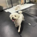 선운밥상 | ･o･