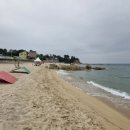 진리와바다 이미지