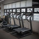 파우즈더바디