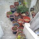 내화농장 이미지