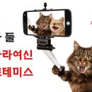 사주로 배우는 삶의 지혜 이미지