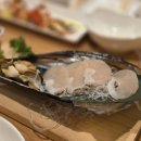 서서자는물고기 이미지