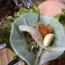 맛있는꼬기집 이미지