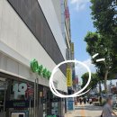 마운자로 단약 한 달 후기｜다시 시작한 이유 + 종로 최신 가격 정보