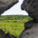 우도에 가면 이미지