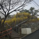 응봉개나리어린이공원 이미지