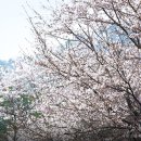 아침편지청소년수련원 이미지