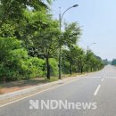 명품로 엔디엔뉴스