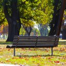 박터졌네 이미지