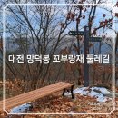 안말삼거리 | 대전 망덕봉 꼬부랑재 둘레길