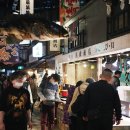 참치랜드 이미지