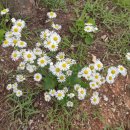 백화제방 이미지