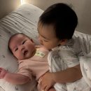 주경유통 | 2026년 5월 6월